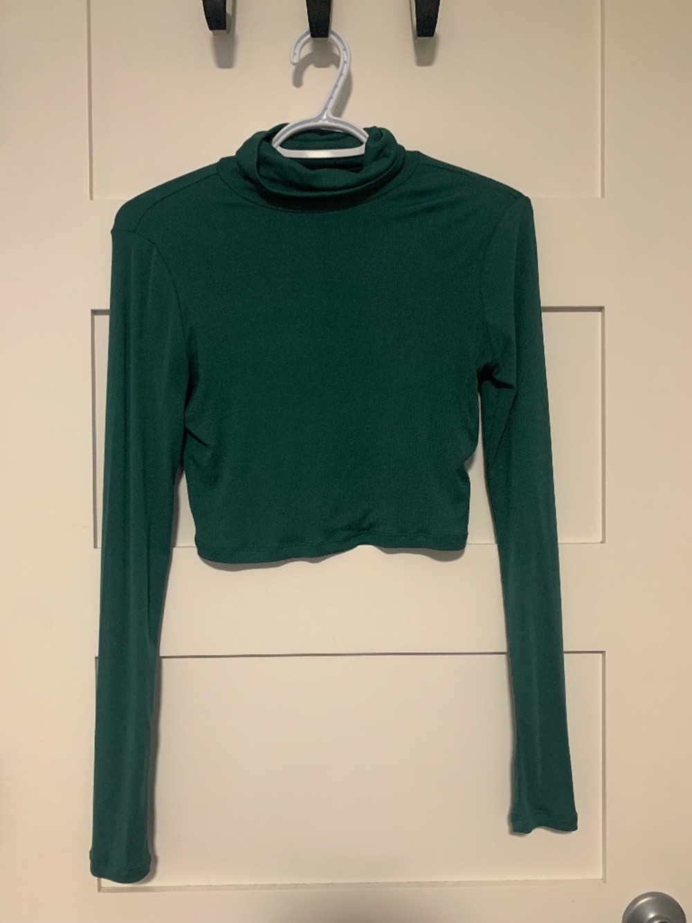 Aritzia Sunday Best Green Turtleneck (size s)